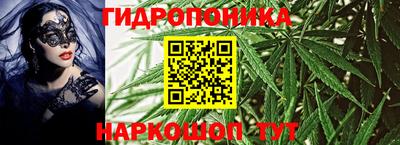дмт Аргун