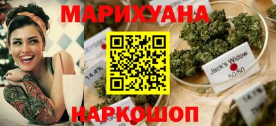 дмт Аргун