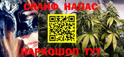дмт Аргун